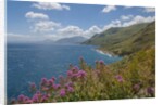 Lo Zingaro Natural Reserve by Anonymous