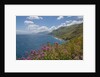 Lo Zingaro Natural Reserve by Anonymous
