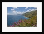 Lo Zingaro Natural Reserve by Anonymous