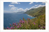 Lo Zingaro Natural Reserve by Anonymous