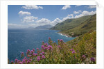 Lo Zingaro Natural Reserve by Anonymous