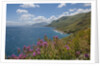 Lo Zingaro Natural Reserve by Anonymous