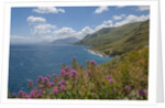 Lo Zingaro Natural Reserve by Anonymous