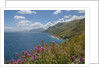 Lo Zingaro Natural Reserve by Anonymous
