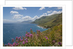 Lo Zingaro Natural Reserve by Anonymous