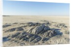 Sua Pan and Rocks of Kubu Island, Botswana by Anonymous