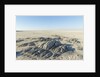 Sua Pan and Rocks of Kubu Island, Botswana by Anonymous