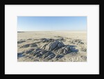 Sua Pan and Rocks of Kubu Island, Botswana by Anonymous