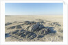 Sua Pan and Rocks of Kubu Island, Botswana by Anonymous
