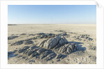 Sua Pan and Rocks of Kubu Island, Botswana by Anonymous