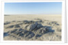 Sua Pan and Rocks of Kubu Island, Botswana by Anonymous
