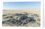 Sua Pan and Rocks of Kubu Island, Botswana by Anonymous