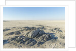 Sua Pan and Rocks of Kubu Island, Botswana by Anonymous