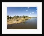 Aerial View of Hippo Pond, Moremi Game Reserve, Botswana by Anonymous