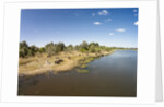 Aerial View of Hippo Pond, Moremi Game Reserve, Botswana by Anonymous