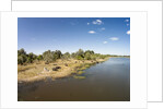 Aerial View of Hippo Pond, Moremi Game Reserve, Botswana by Anonymous