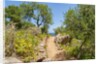 Lo Zingaro Natural Reserve by Anonymous