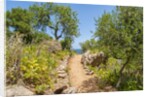 Lo Zingaro Natural Reserve by Anonymous