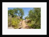 Lo Zingaro Natural Reserve by Anonymous