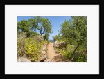 Lo Zingaro Natural Reserve by Anonymous