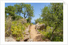 Lo Zingaro Natural Reserve by Anonymous