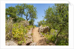 Lo Zingaro Natural Reserve by Anonymous