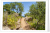 Lo Zingaro Natural Reserve by Anonymous
