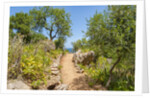 Lo Zingaro Natural Reserve by Anonymous
