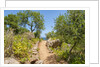 Lo Zingaro Natural Reserve by Anonymous