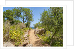 Lo Zingaro Natural Reserve by Anonymous