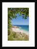Lo Zingaro Natural Reserve, Cala dell'Uzzo by Anonymous