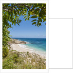 Lo Zingaro Natural Reserve, Cala dell'Uzzo by Anonymous