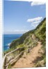 Lo Zingaro Natural Reserve by Anonymous