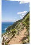 Lo Zingaro Natural Reserve by Anonymous