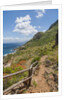 Lo Zingaro Natural Reserve by Anonymous