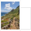 Lo Zingaro Natural Reserve by Anonymous