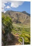 Lo Zingaro Natural Reserve by Anonymous