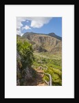 Lo Zingaro Natural Reserve by Anonymous