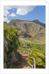 Lo Zingaro Natural Reserve by Anonymous