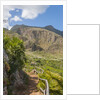 Lo Zingaro Natural Reserve by Anonymous