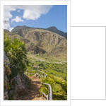 Lo Zingaro Natural Reserve by Anonymous