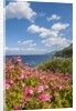 Lo Zingaro Natural Reserve by Anonymous