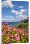 Lo Zingaro Natural Reserve by Anonymous
