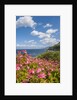 Lo Zingaro Natural Reserve by Anonymous