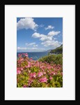 Lo Zingaro Natural Reserve by Anonymous