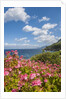 Lo Zingaro Natural Reserve by Anonymous