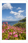 Lo Zingaro Natural Reserve by Anonymous