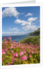 Lo Zingaro Natural Reserve by Anonymous