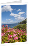 Lo Zingaro Natural Reserve by Anonymous