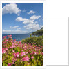 Lo Zingaro Natural Reserve by Anonymous